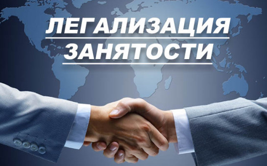 ПРОТИВОДЕЙСТВИЕ НЕЛЕГАЛЬНОЙ ЗАНЯТОСТИ